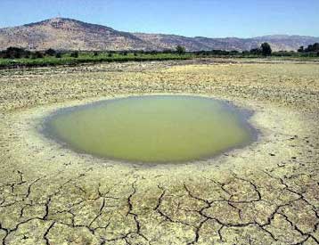 To 2003 τρίτη θερμότερη χρονιά της Ιστορίας