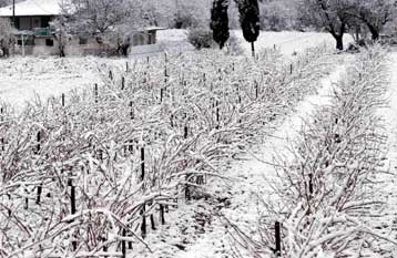 Σοβαρά προβλήματα προκάλεσε το κύμα κακοκαιρίας στην Κρήτη