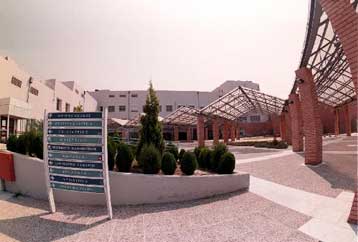 Ύποπτο κρούσμα εγκεφαλίτιδας σε 26χρονη από την Αλεξάνδρεια Ημαθείας