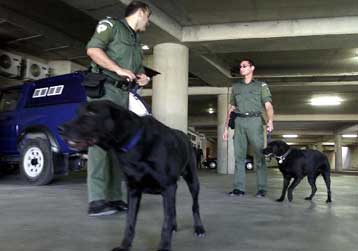 Δεν προέκυψαν στοιχεία κατά των Πακιστανών συλληφθέντων για τρομοκρατία στην Κύπρο
