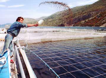 Η ΔΕΗ θα αποζημιώσει επιχείρηση που υπέστη βλάβη από αυξομείωση της τάσης