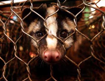 Επιβεβαιώθηκε το πρώτο νέο κρούσμα SARS στην Κίνα