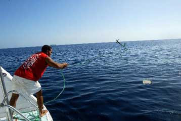 Αγνωστη ισλαμιστική οργάνωση ισχυρίζεται ότι κατέρριψε το αιγυπτιακό Boeing 737