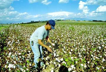 Τρία μεγάλα προβλήματα της ελληνικής οικονομίας αναζητούν λύσεις μετά τις εκλογές