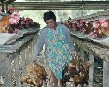 H γρίπη των πτηνών θα μπορούσε να αποδειχθεί «χειρότερη από το SARS»