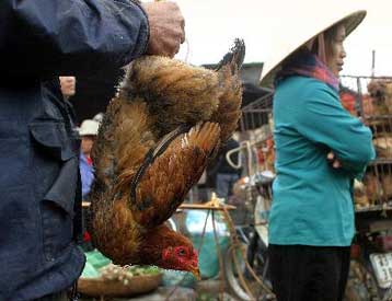 Πέντε τα θύματα από τον ιό των πουλερικών στο Βιετνάμ