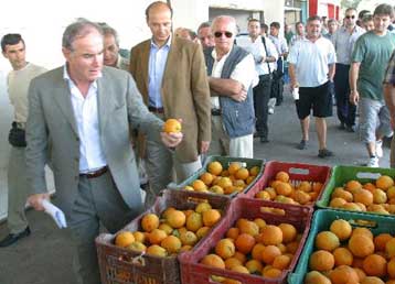 Αιφνιδιαστική επίσκεψη Κουλούρη στην κεντρική λαχαναγορά του Ρέντη