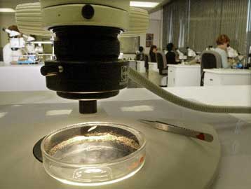 Συνθετικό κολλαγόνο επιταχύνει την επούλωση τραυμάτων