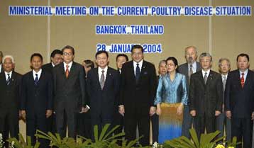 Συνεργασία για την καταπολέμηση της γρίπης των πτηνών αποφάσισαν 10 ασιατικές χώρες