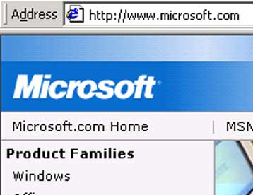 Aντεξε στην επίθεση από «υπολογιστές-ζόμπι» ο δικτυακός τόπος της Microsoft