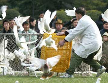 Έκτακτη συνάντηση ειδικών καθώς τα θύματα από την γρίπη των πτηνών αυξάνονται στα 14