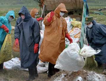 Ένα ακόμη θύμα της γρίπης των πτηνών στο Βιετνάμ – Νέες εστίες στην Καμπότζη