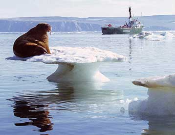 Η τήξη των αρκτικών πάγων απειλεί με περαιτέρω θέρμανση ολόκληρη τη Γη