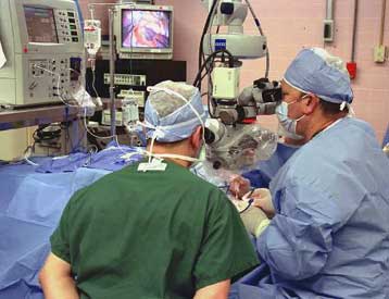 «Τιρμπουσόν» για αγγεία αφαιρεί θρόμβους από τον εγκέφαλο