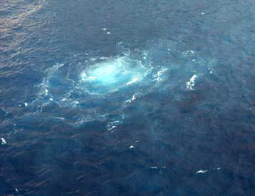 Φυσαλίδες υδρόθειου δηλητηριάζουν δισεκατομμύρια ψάρια