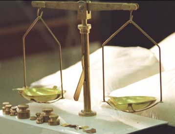 Μικροσκοπική ζυγαριά ζυγίζει… ιούς