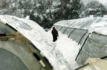 Ανατιμήσεις στην αγορά φέρνει το κύμα κακοκαιρίας