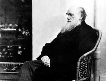 To πλοίο Beagle του Δαρβίνου ίσως εντοπίστηκε σε ποτάμι της Βρετανίας