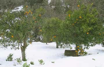Μέχρι το Πάσχα οι αποζημιώσεις στους αγρότες για τις καταστροφές από την κακοκαιρία
