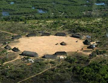 Η «βιοπειρατεία» κύριο θέμα της διεθνούς διάσκεψης για τη βιοποικιλότητα