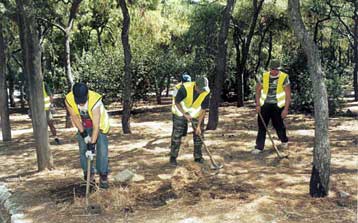 Περισσότερο κατά 40% το πράσινο στην Αθήνα μέσα στο επόμενο διάστημα