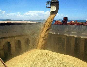 Διεθνής συμφωνία θέτει κανόνες στο εμπόριο γενετικά τροποποιημένων οργανισμών