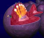 Πρωτοποριακή ελληνική ανακάλυψη στη μάχη ενάντια στον καρκίνο