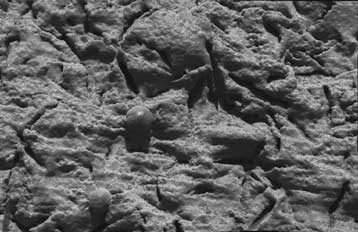 Ο Αρης υπήρξε ικανός να φιλοξενήσει ζωή, «αποφαίνεται» το ρομπότ Opportunity