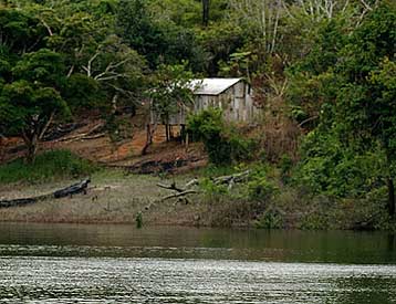 Ανησυχητικές μεταβολές στον Αμαζόνιο φαίνεται να προκαλεί το διοξείδιο του άνθρακα
