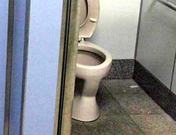 Γεννήτρια από μικρόβια παράγει ηλεκτρισμό ενώ καθαρίζει τα οικιακά λύματα