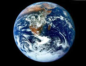 Mαζική εξαφάνιση των ζωντανών οργανισμών καταγράφουν οι επιστήμονες