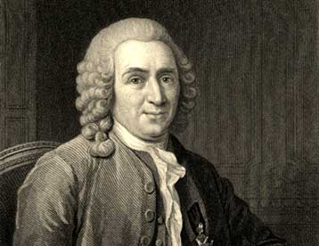 Εικονικό μουσείο θα φιλοξενήσει ζώα και φυτά της συλλογής Λινναίου