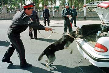 Στους 19 οι νεκροί από συντονισμένες επιθέσεις τρομοκρατών στο Ουζμπεκιστάν