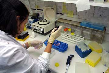 Επικίνδυνος ιός εντοπίστηκε και απομονώθηκε από το ΑΠΘ