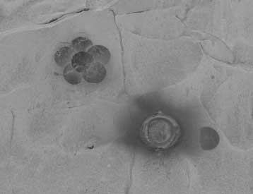 Ενδείξεις νερού και σε δεύτερη τοποθεσία του Αρη εντόπισε το Spirit της NASA