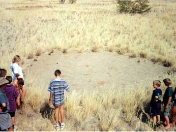 Καμία εξήγηση για τους «κύκλους των νεράιδων» στη Ναμίμπια