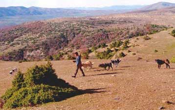 Σημαντικά κοιτάσματα ουρανίου στη Βόρειο Ελλάδα εντόπισε το ΙΓΜΕ