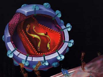 Έρευνα εξηγεί γιατί ο HIV μπορεί να προκαλέσει άνοια