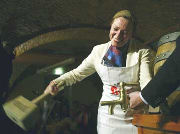 Στις κάλπες την Κυριακή οι Αυστριακοί για την εκλογή του νέου προέδρου της χώρας