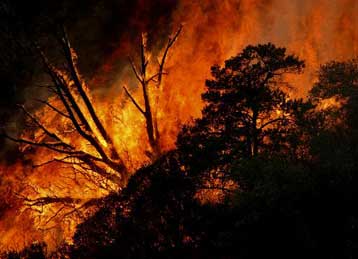 Η ψηφιακή τεχνολογία στη μάχη πρόληψης των πυρκαγιών