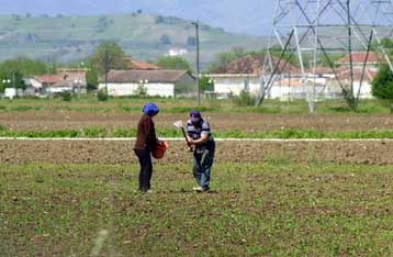 Ποσό 4,97 εκατ. ευρώ επιστρέφει η Ελλάδα στο Ευρωπαϊκό Γεωργικό Ταμείο