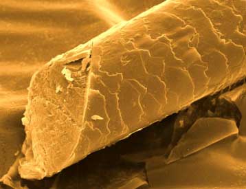 Τεχνική λέιζερ χτίζει τρισδιάστατες δομές πάνω σε ανθρώπινες τρίχες