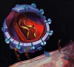 Νέο διαγνωστικό τεστ για πρώιμη ανίχνευση του AIDS