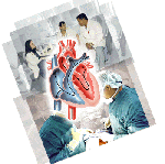 Μειώνονται οι μεταμοσχεύσεις καρδιάς λόγω της μικρής προσφοράς μοσχευμάτων