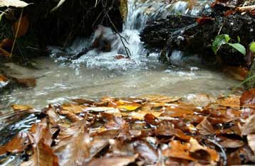 Υποχρεωτική εργασία η προτιμότερη τιμωρία όσων ρυπαίνουν το περιβάλλον