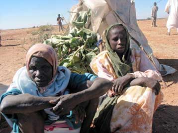 Απαγωγές Σουδανών εργαζομένων στον ΟΗΕ από αντάρτες της περιοχής