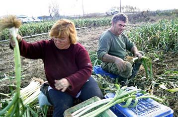 Ανοίγουν οι πόρτες των ιδιωτικών θεραπευτηρίων και για τους ασφαλισμένους του ΟΓΑ