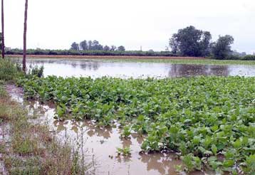 Σοβαρές υλικές ζημιές σε Κιλκίς, Σέρρες και Πέλλα από τις βροχοπτώσεις