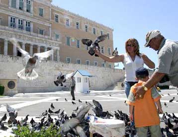 Δίωξη κατά της 39χρονης που κατηγορείται ότι δηλητηρίασε 250 περιστέρια στο Σύνταγμα