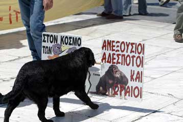 Τέσσερα εκατ. ευρώ σε δήμους και φορείς για δράσεις σχετικά με τα αδέσποτα